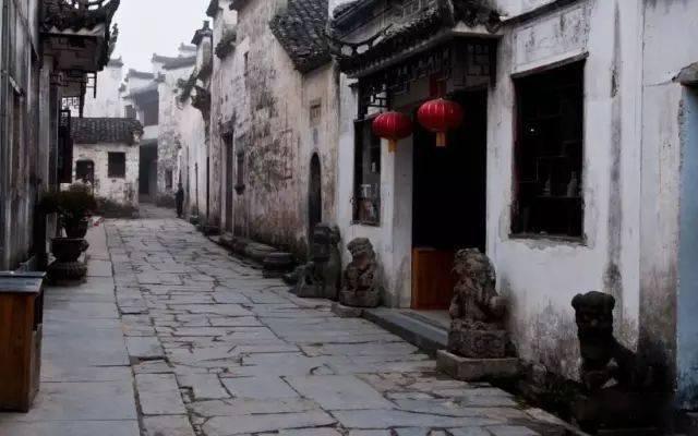 动物帮帮忙保卫家园